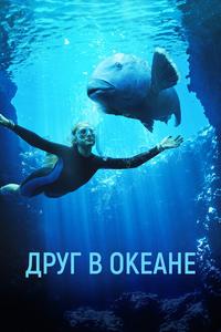 Друг в океане Друг в океане