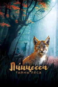 Линцесса. Тайны леса Линцесса. Тайны леса