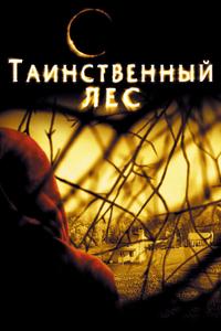 Таинственный лес Таинственный лес