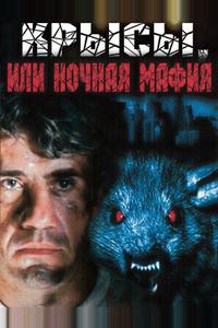 Крысы, или ночная мафия
